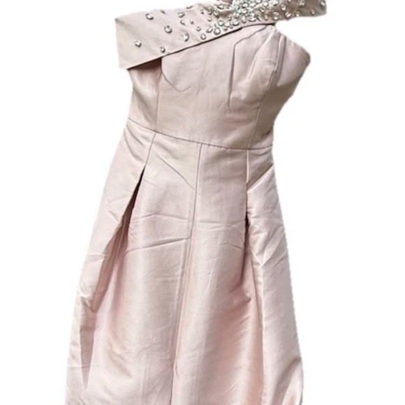 $1095 NWT Sachin & Babi Blush Gown Crystal Embellished - Picture 2 of 8